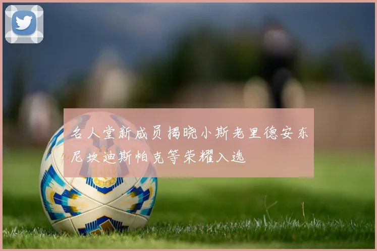 名人堂新成员揭晓小斯老里德安东尼坎迪斯帕克等荣耀入选